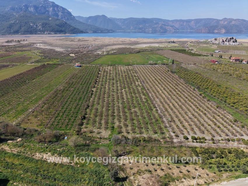 Для Продажи Поле в Eskiköy Ortaca - Под Поле застройку - 16.710 m²
