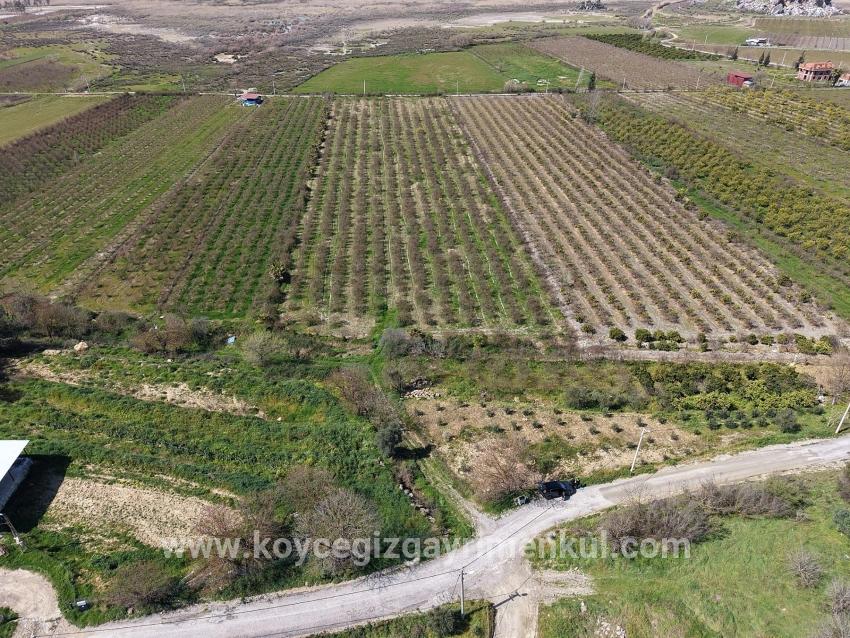Для Продажи Поле в Eskiköy Ortaca - Под Поле застройку - 16.710 m²