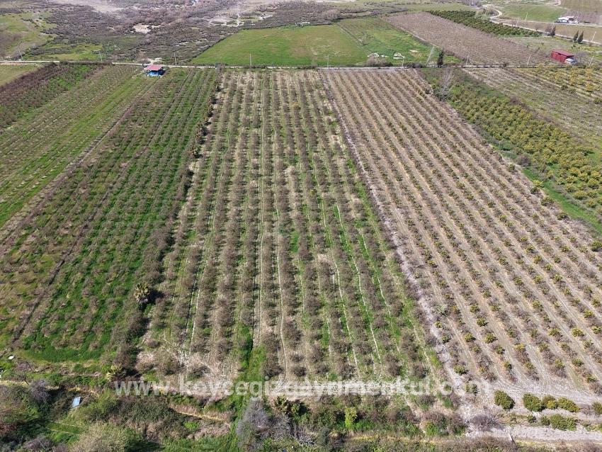 Для Продажи Поле в Eskiköy Ortaca - Под Поле застройку - 16.710 m²