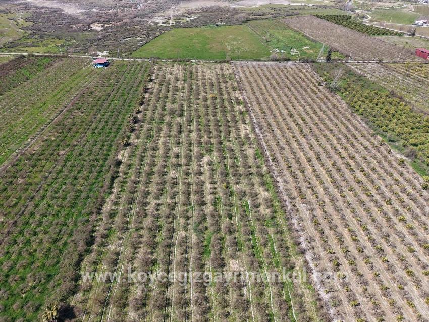 Для Продажи Поле в Eskiköy Ortaca - Под Поле застройку - 16.710 m²