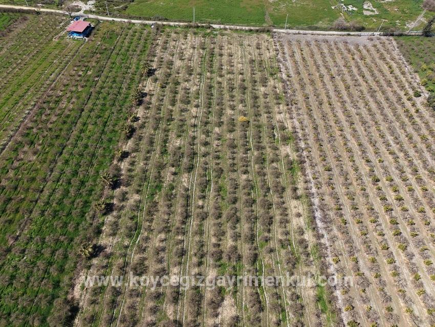 Для Продажи Поле в Eskiköy Ortaca - Под Поле застройку - 16.710 m²