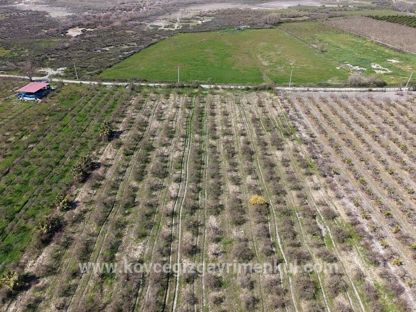 Для Продажи Поле в Eskiköy Ortaca - Под Поле застройку - 16.710 m²