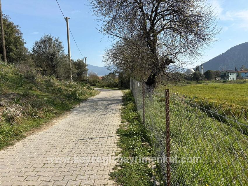 Для Продажи Поле в Çandır Köyceğiz - Под Жилье застройку - 2.023 m²