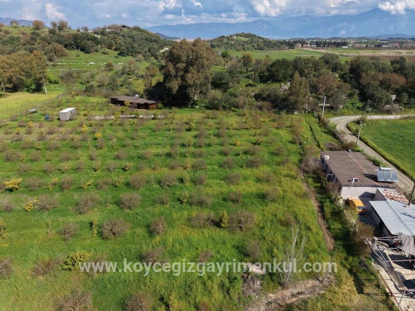 Для Продажи Общежитие в Eskiköy Ortaca - 11.000 m²