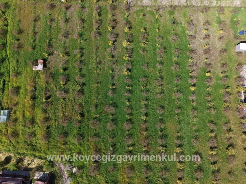 Для Продажи Общежитие в Eskiköy Ortaca - 11.000 m²