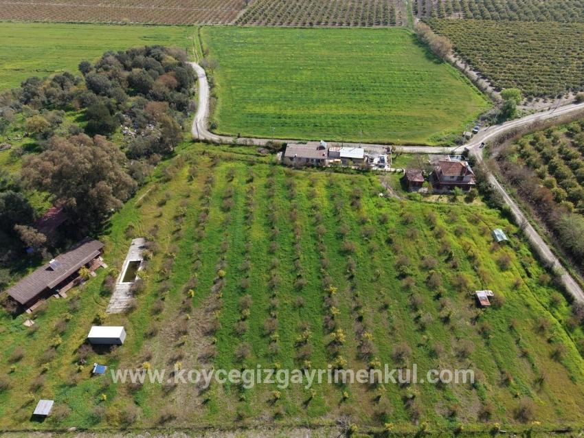 Для Продажи Общежитие в Eskiköy Ortaca - 11.000 m²