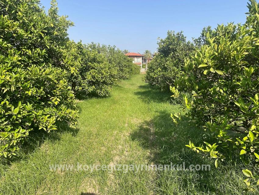Для Продажи Сюжет в Dalyan Ortaca - Под Жилье застройку - 722 m²