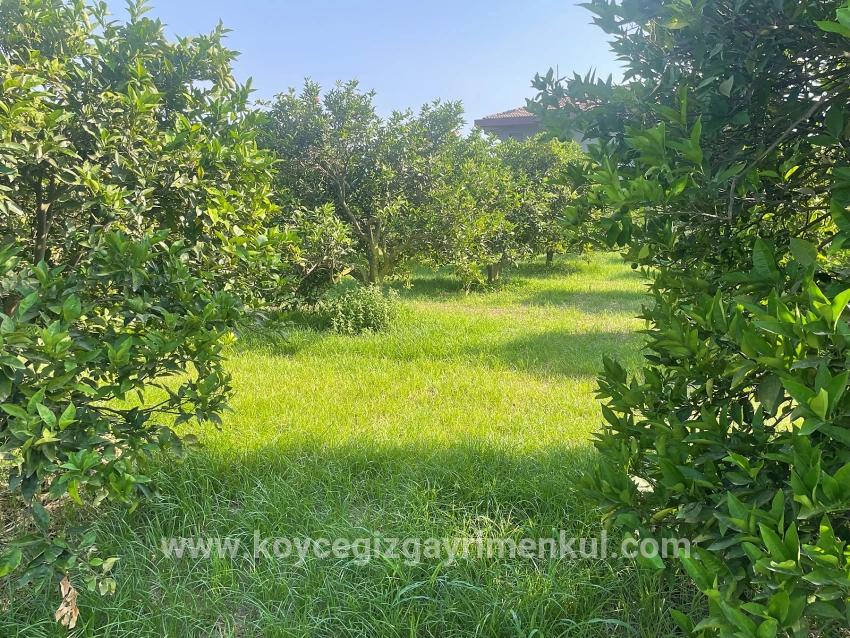 Для Продажи Сюжет в Dalyan Ortaca - Под Жилье застройку - 722 m²