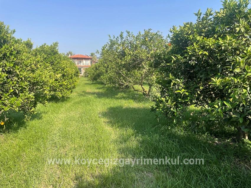 Для Продажи Сюжет в Dalyan Ortaca - Под Жилье застройку - 722 m²