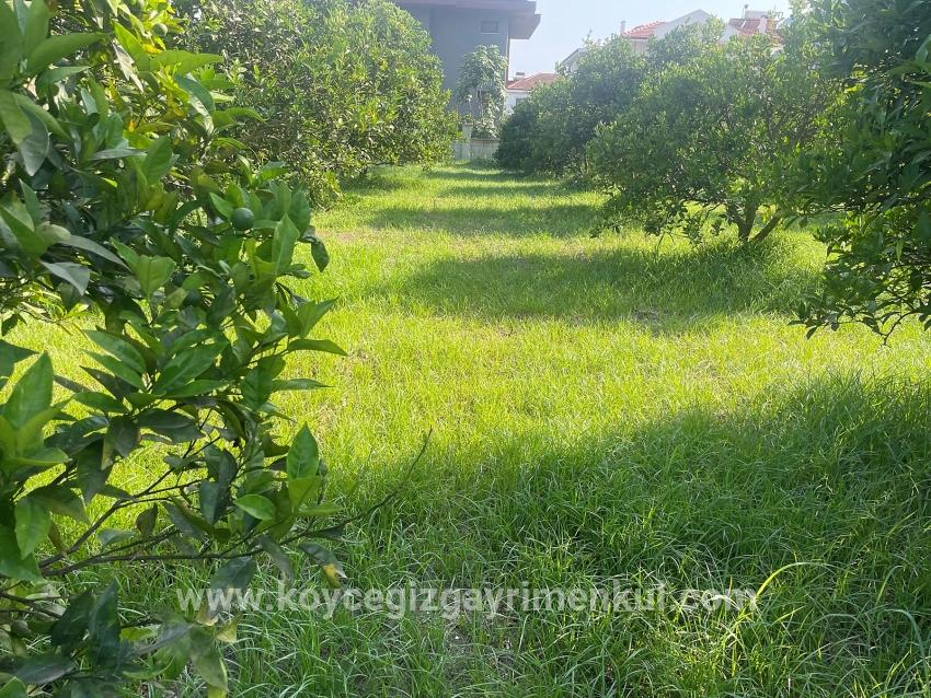 Для Продажи Сюжет в Dalyan Ortaca - Под Жилье застройку - 722 m²