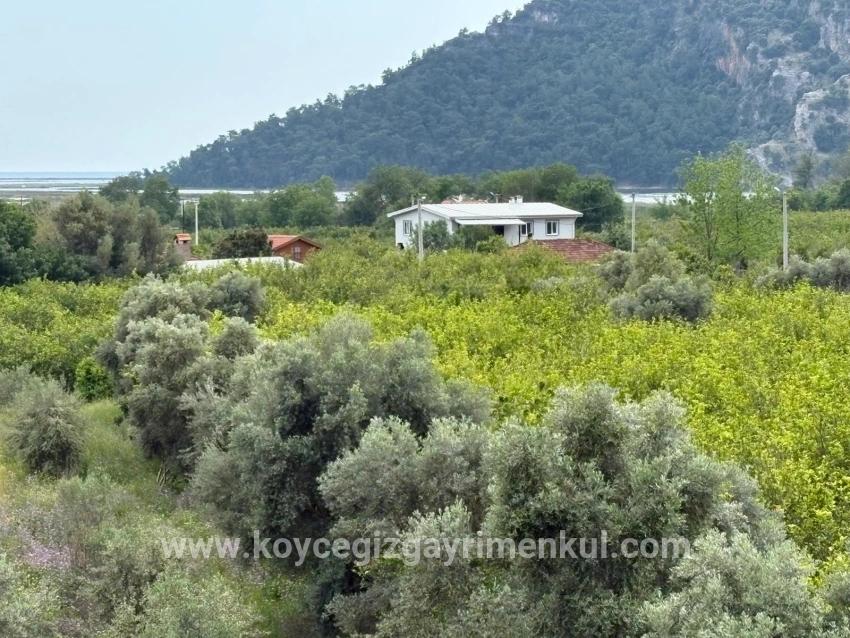 Для Продажи Поле в Çandır Köyceğiz - Под Поле застройку - 1.721 m²