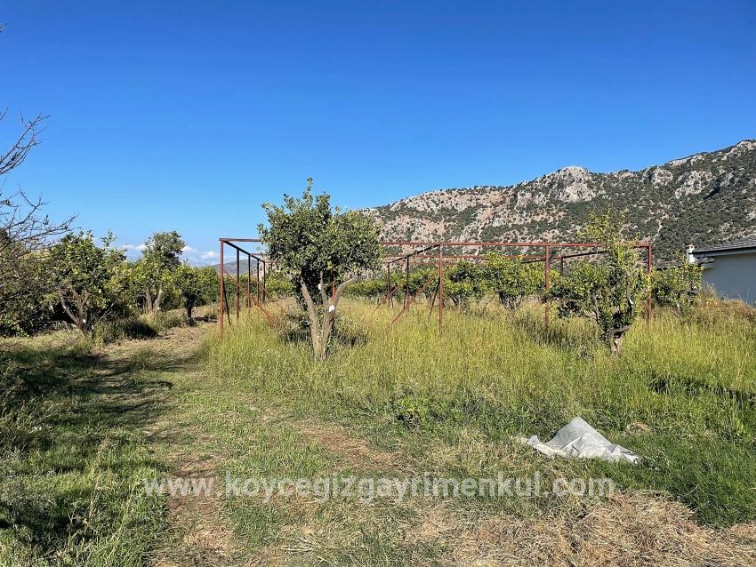 Для Продажи Поле в Dalyan Ortaca - Под Поле застройку - 6.600 m²