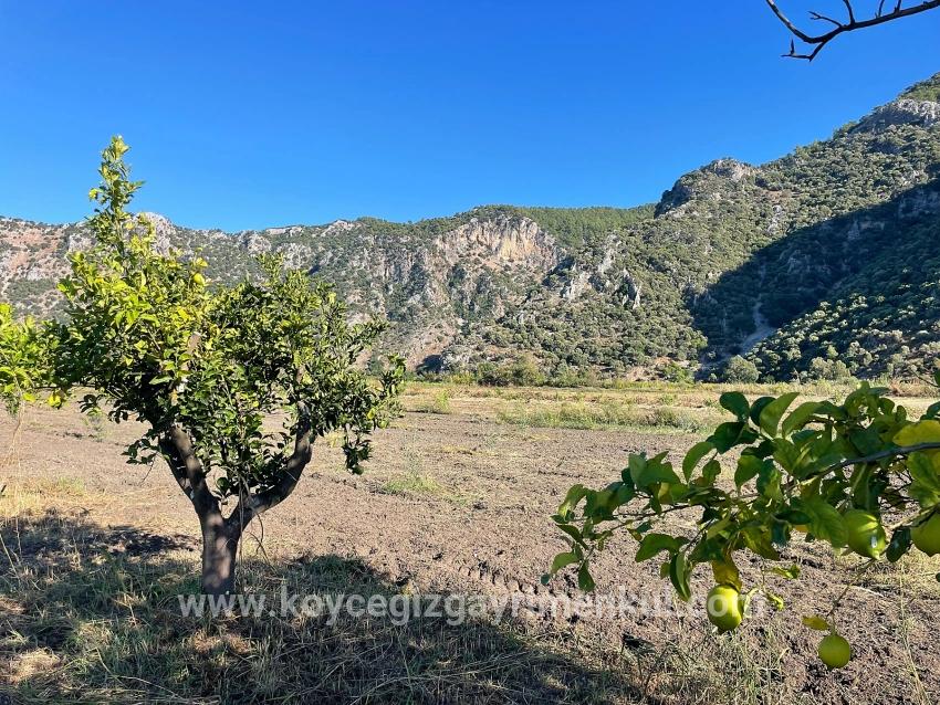 Для Продажи Поле в Dalyan Ortaca - Под Поле застройку - 6.600 m²