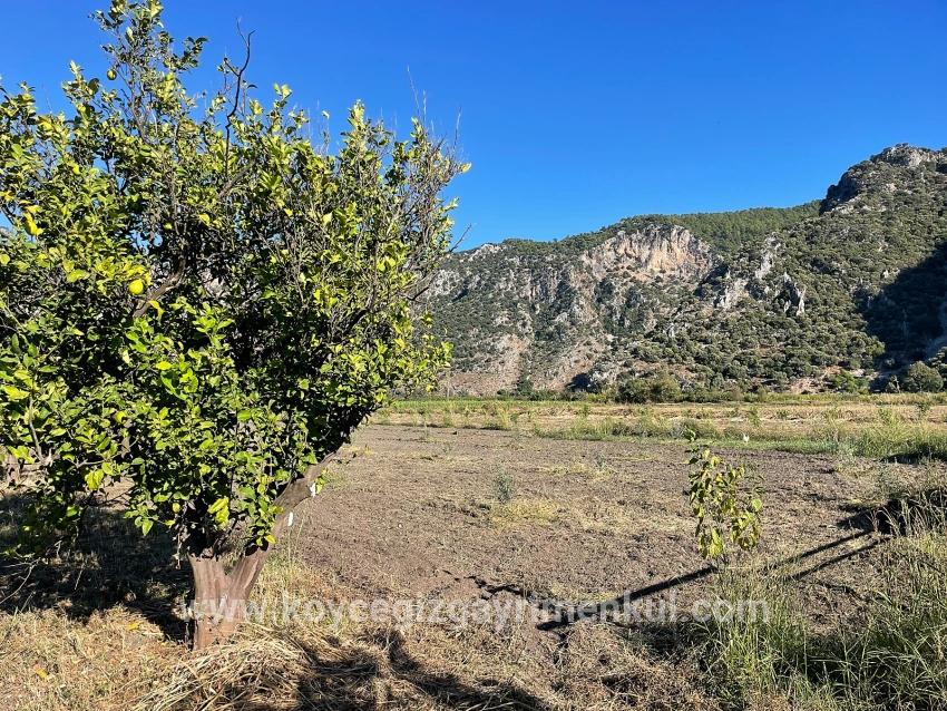 Для Продажи Поле в Dalyan Ortaca - Под Поле застройку - 6.600 m²
