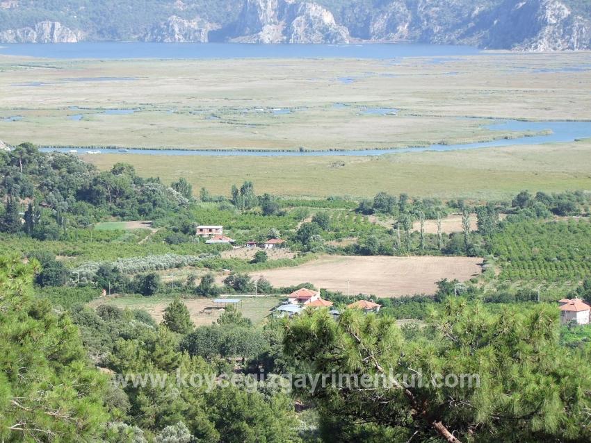 Для Продажи Поле в Çandır Köyceğiz - Под Поле застройку - 1.252 m²