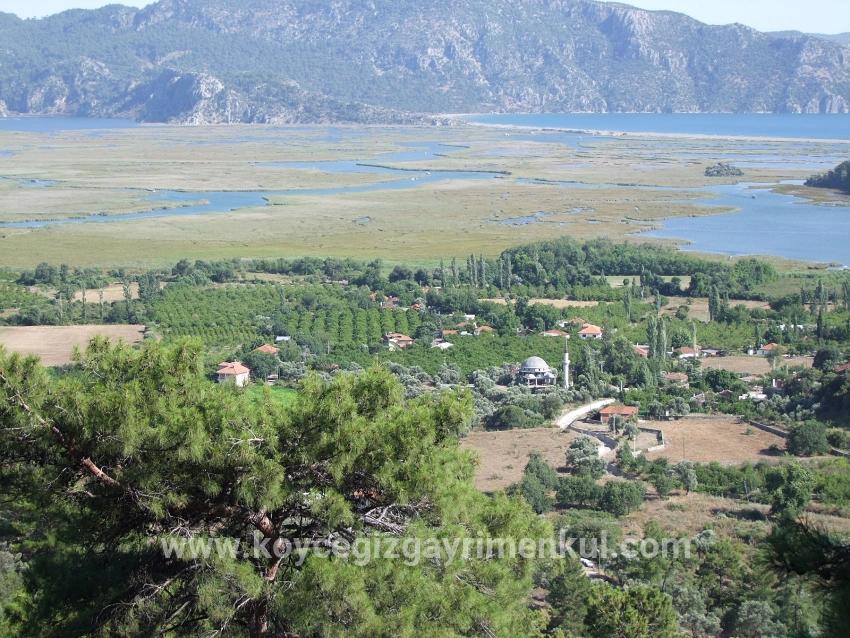 Для Продажи Поле в Çandır Köyceğiz - Под Поле застройку - 1.252 m²