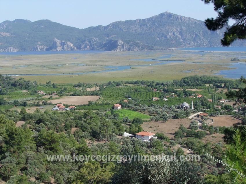 Для Продажи Поле в Çandır Köyceğiz - Под Поле застройку - 1.252 m²
