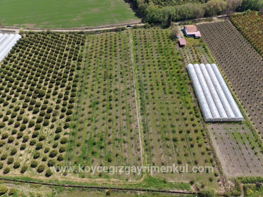 Для Продажи Поле в Eskiköy Ortaca - Под Поле застройку - 16.000 m²