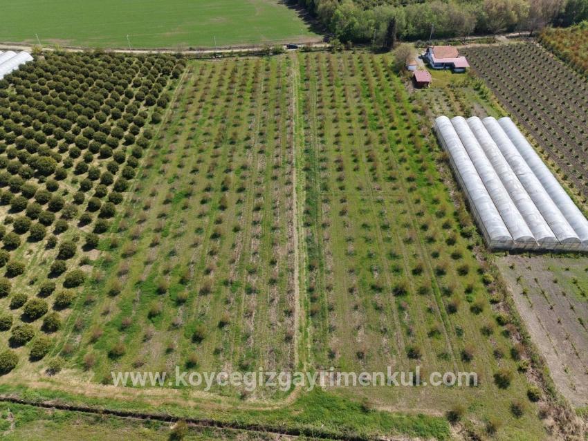 Для Продажи Поле в Eskiköy Ortaca - Под Поле застройку - 16.000 m²