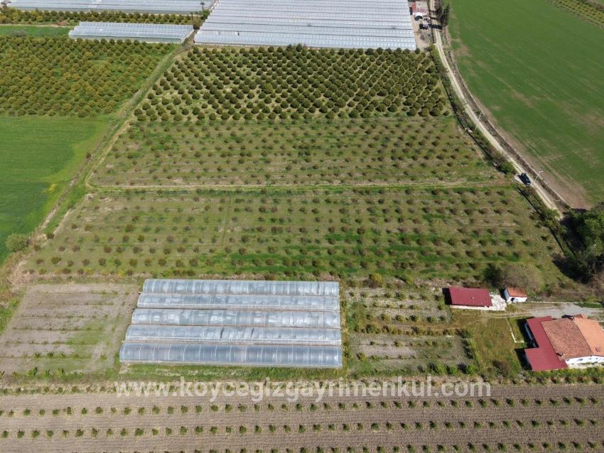 Для Продажи Поле в Eskiköy Ortaca - Под Поле застройку - 16.000 m²