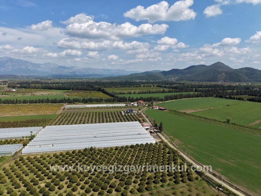 Для Продажи Поле в Eskiköy Ortaca - Под Поле застройку - 16.000 m²