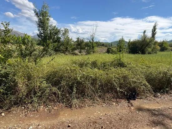 Поле Площадью 10.500 M2 Продаётся В Köyceğiz Zeytinalanı