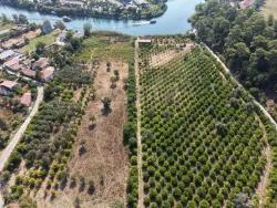 Для Продажи Поле в Çandır Köyceğiz - Под Поле застройку - 20.000 m²