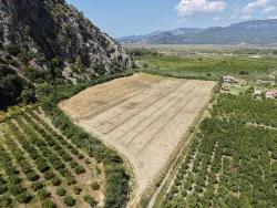 Для Продажи Поле в Dalyan Ortaca - Под Поле застройку - 20.786 m²