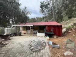 Для Продажи Поле в Ekincik Köyceğiz - Под Оливковая Роща застройку - 7.000 m²