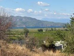 Для Продажи Поле в Dalyan Ortaca - Под Поле застройку - 5.000 m²