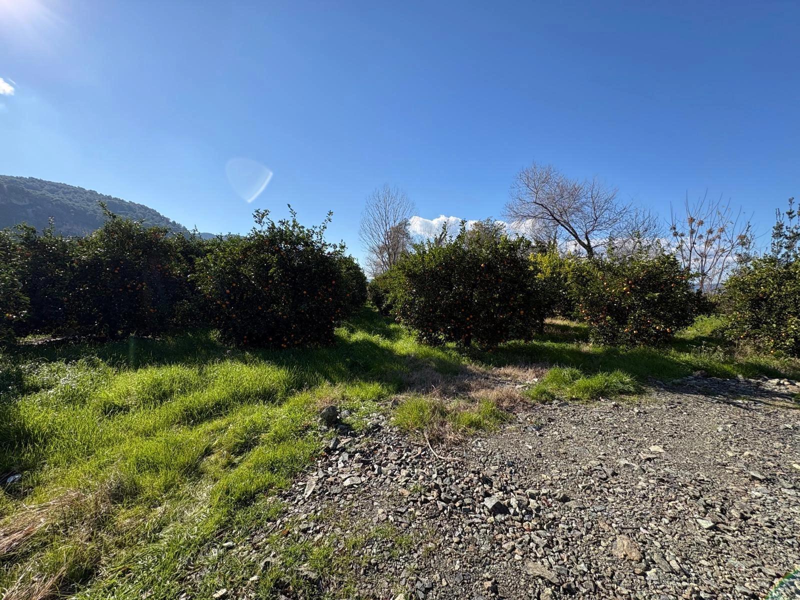 Okçular'da Yerleşik Alanında 4,326m2 Satılık Arsa