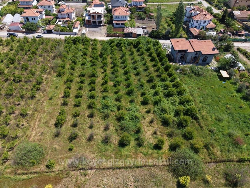 Okçular'da 1050M2 Köy Yerleşik Alanında Satılık Arsa