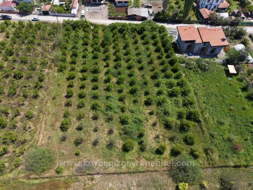 Okçular'da 1050M2 Köy Yerleşik Alanında Satılık Arsa