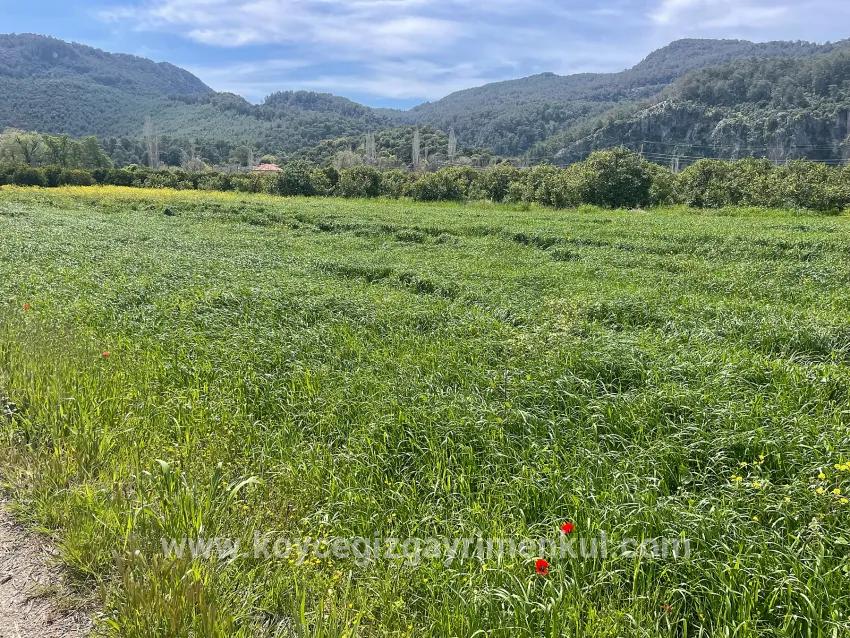 Okçular'da 736m2 Olan 250m2 İnşaat İzinli Satılık Arsa