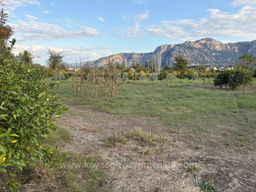 Dalyan'da 7.450M2 %5 İmarlı Satılık Arsa