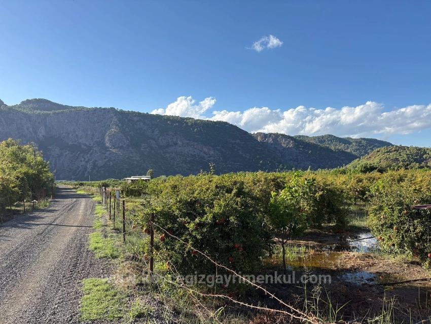 Ortaca Yeşilyurt'ta İmarlı 3900M2 Satılık Arsa