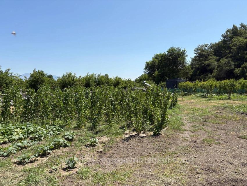 Dalyan Karadağ Mevkiinde 2500M2 Tarla İçerisinde 120M2 Müstakil Ahşap Ev