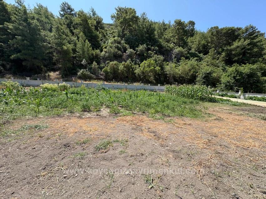 Dalyan Karadağ Mevkiinde 2500M2 Tarla İçerisinde 120M2 Müstakil Ahşap Ev