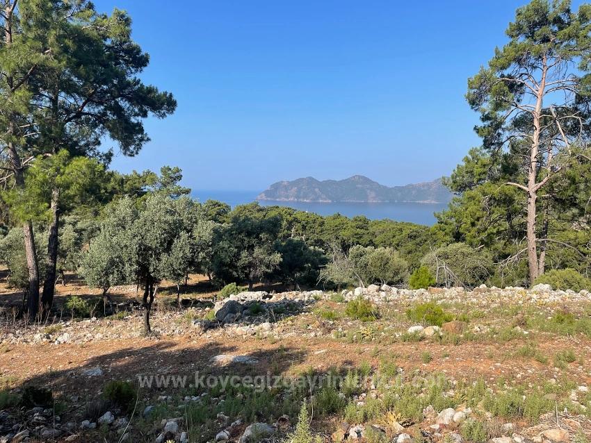 Ekincik Çandır Arasın'da Deniz Manzaralı Kelepir Emlak Satılık Arsa