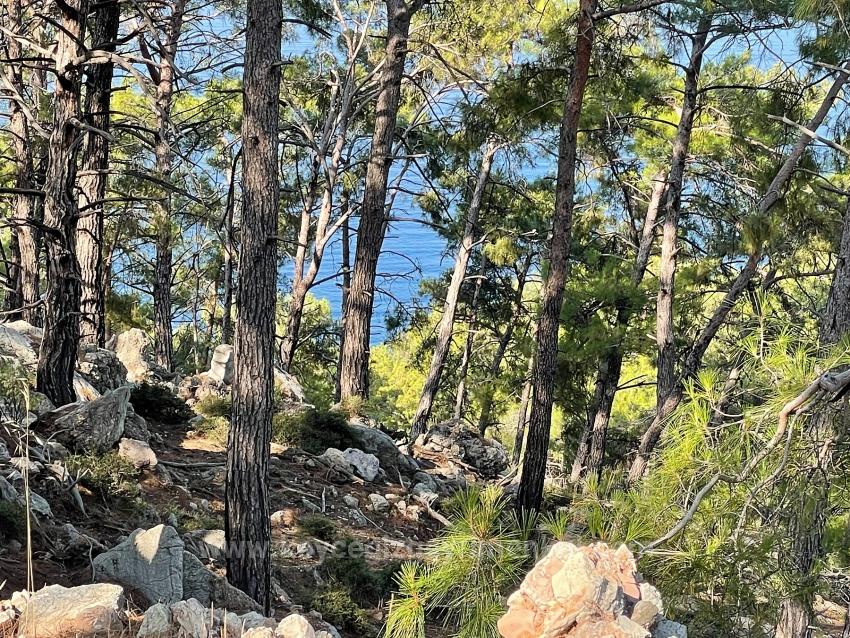 Ekincik Çandır Arasın'da Deniz Manzaralı Kelepir Emlak Satılık Arsa