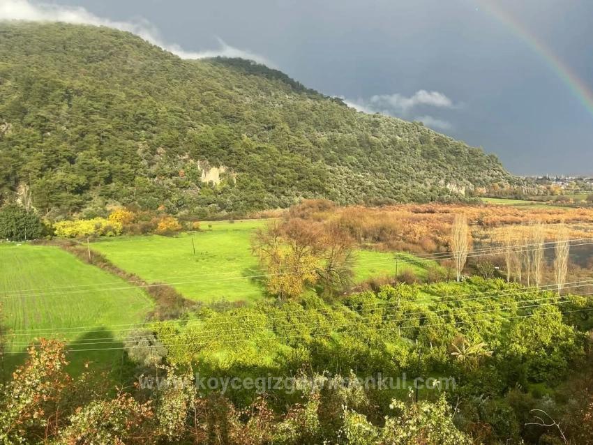 Köyceğiz Çandır'da 35000M2 Satılık Çiftlik Arazisi