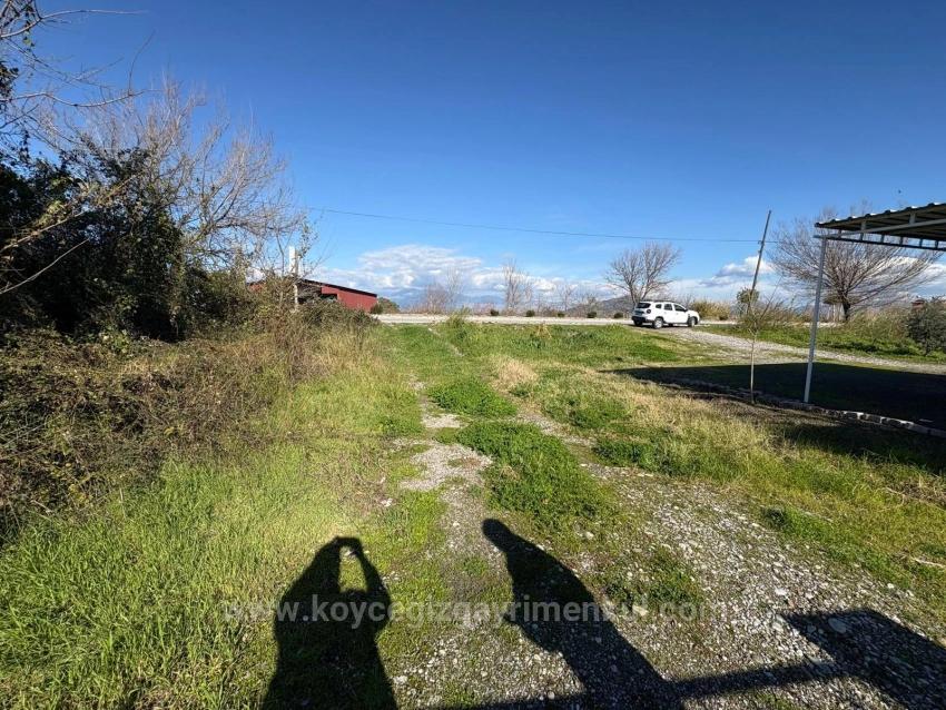 Dalyan'da 550M2 %15+30 İmarlı Satılık Arsa