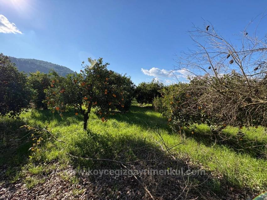 Okçular'da Yerleşik Alanında 4,326M2 Satılık Arsa