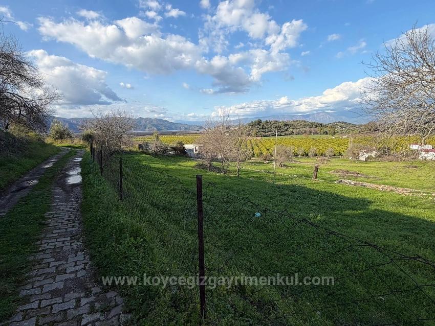 Dalyan'da Göl Manzaralı 11.230M2 Satılık Tarla