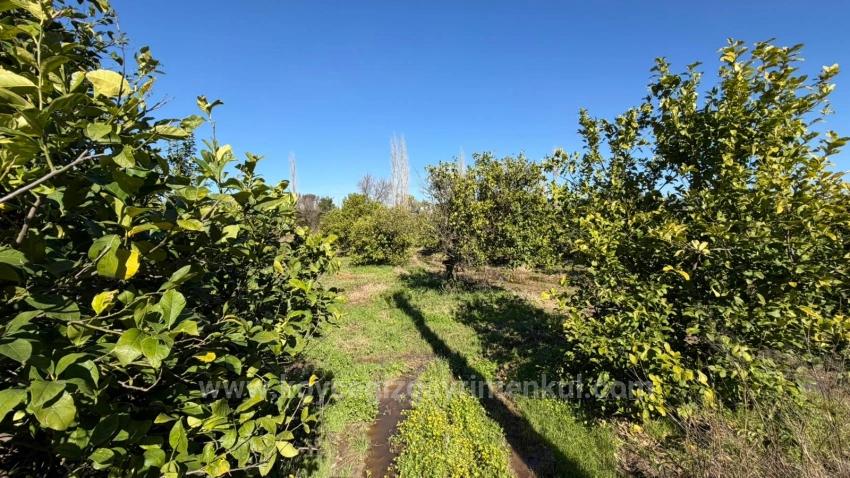 Okçular Marmarlı'da 2.218M2 Satılık Arsa