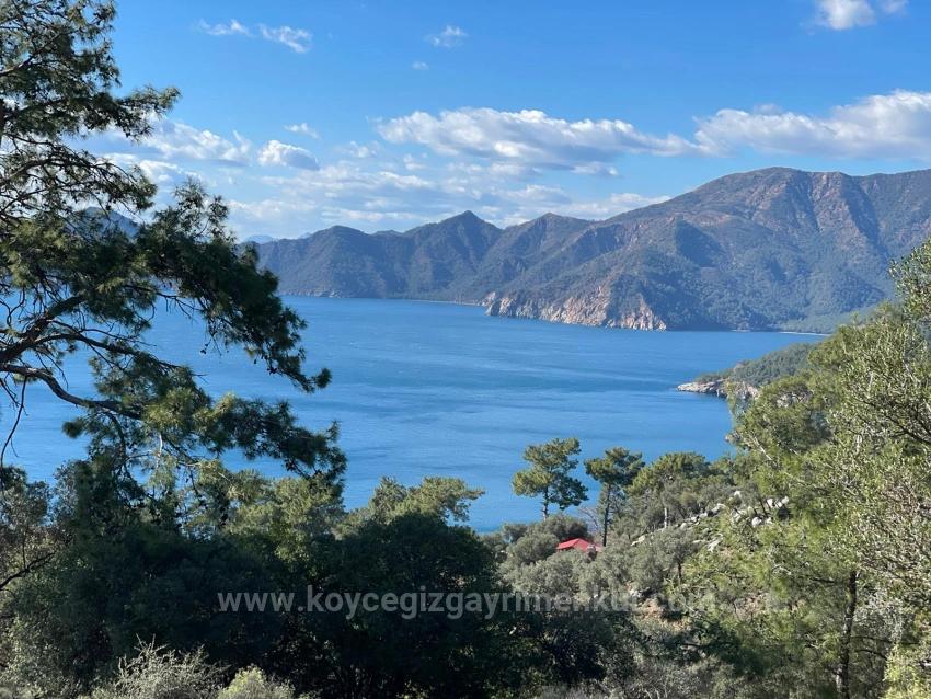 Çandır Full Deniz Manzaralı 20.000M2 Satılık 2B