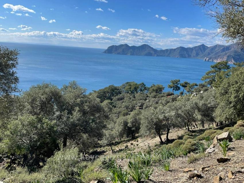 Çandır Full Deniz Manzaralı 20.000M2 Satılık 2B