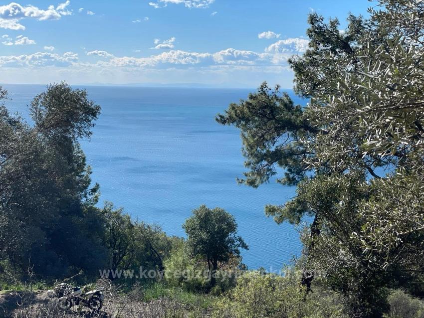 Çandır Full Deniz Manzaralı 20.000M2 Satılık 2B