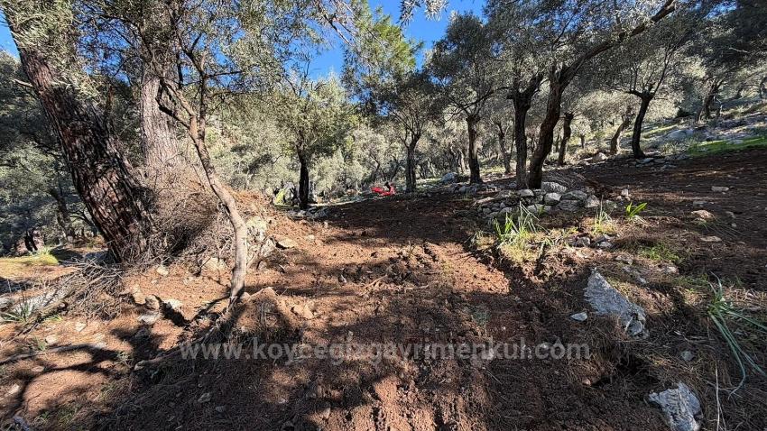 Çandır'da Full Deniz Manzaralı 5715M2 Satılık 2B Tarla