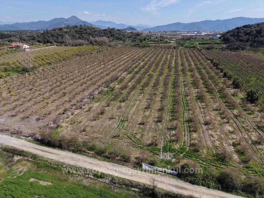 Eskiköy'de Göl Manzaralı 16.710M2 Satılık Nar Bahçesi